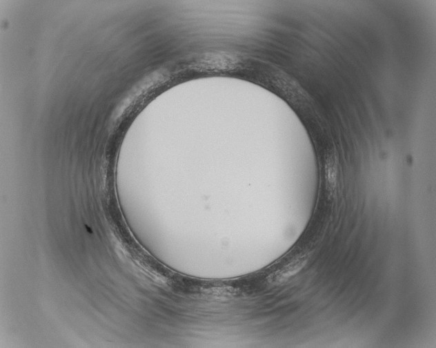 X0000053120396200508012157