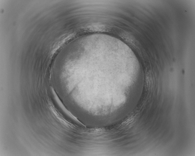 X0000053120398200508012157