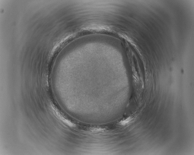 X0000053120399200508012157