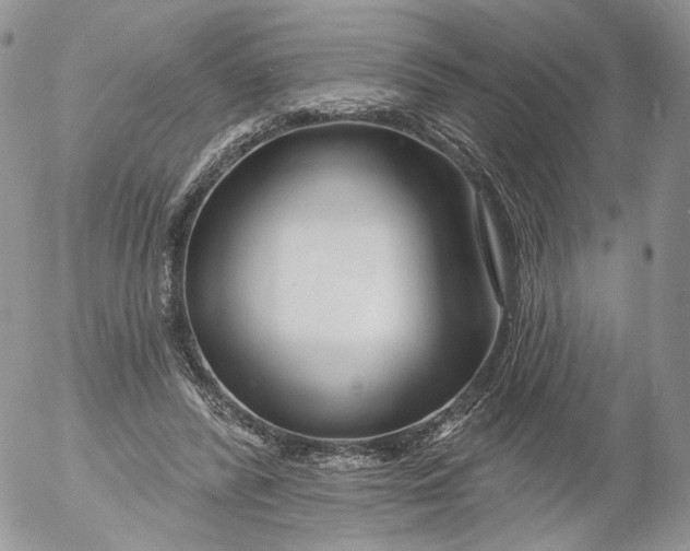 X0000053120400200508012157