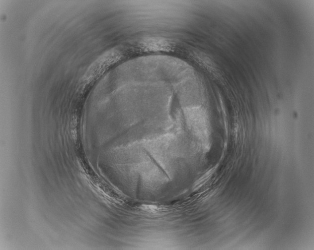 X0000053120402200508012157