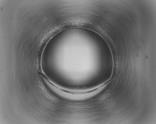 X0000053120403200508012157