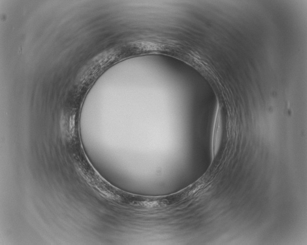 X0000053120406200508012157