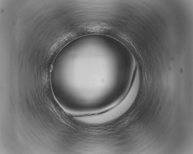 X0000053120407200508012156