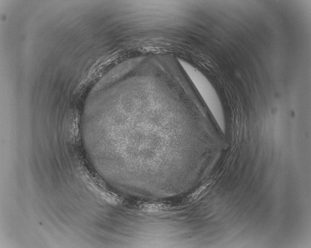 X0000053120408200508012156