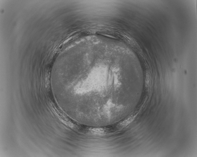 X0000053120409200508012156