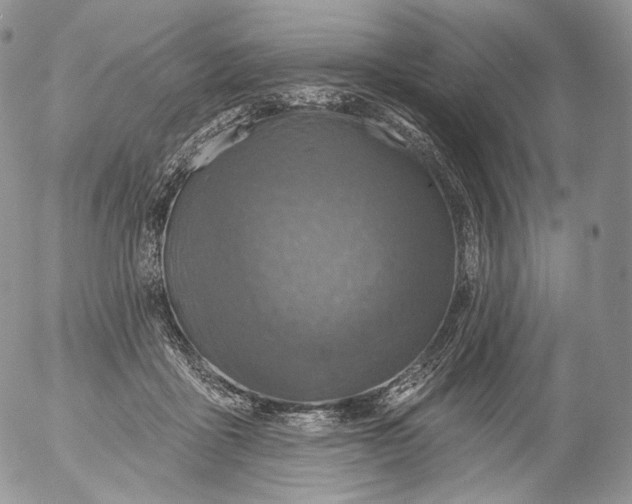 X0000053120411200508012156