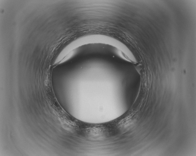 X0000053120412200508012156