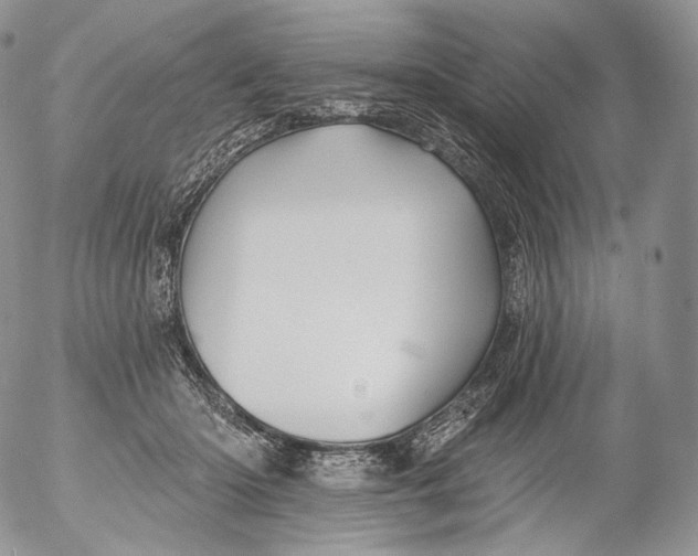 X0000053120414200508012156