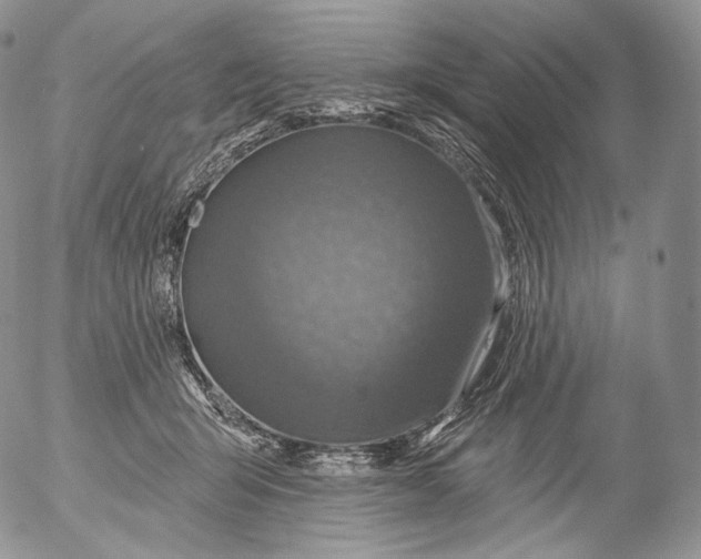 X0000053120415200508012156