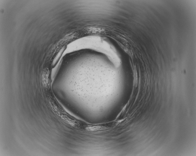 X0000053120417200508012156