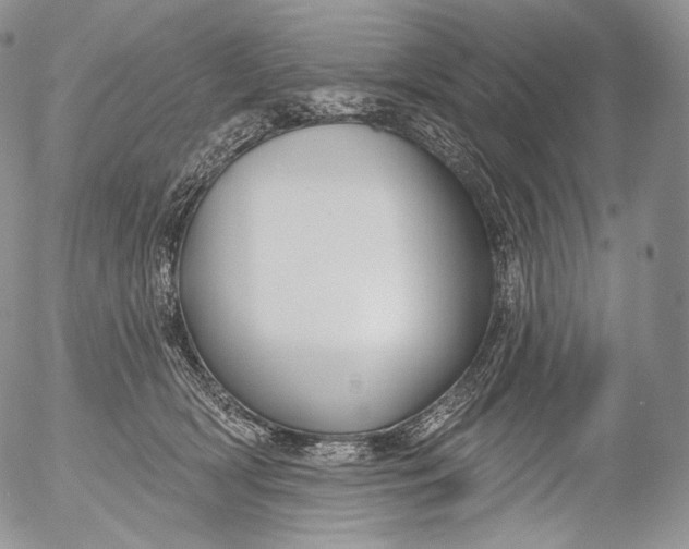 X0000053120418200508012156