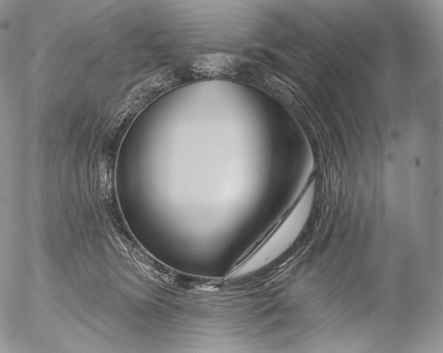 X0000053120420200508012156