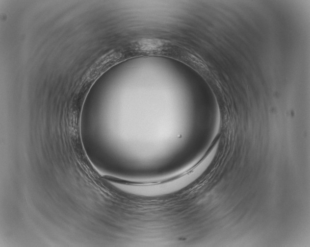 X0000053120421200508012156