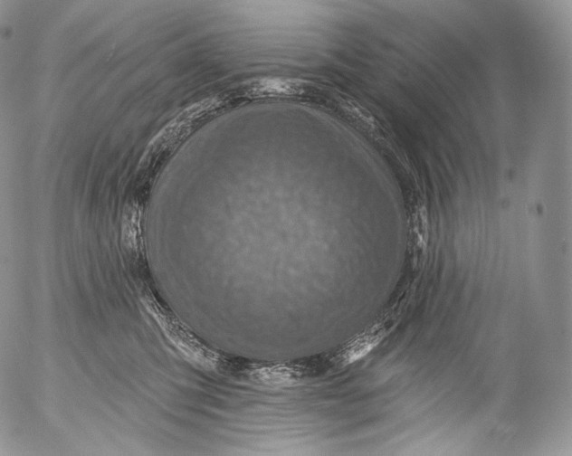 X0000053120423200508012156