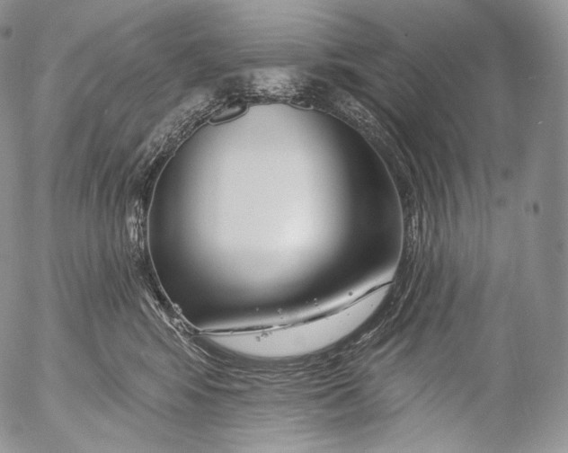 X0000053120424200508012156