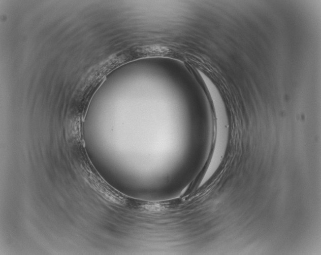 X0000053120425200508012156