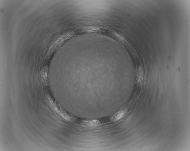 X0000053120427200508012156