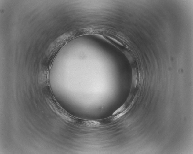 X0000053120429200508012156