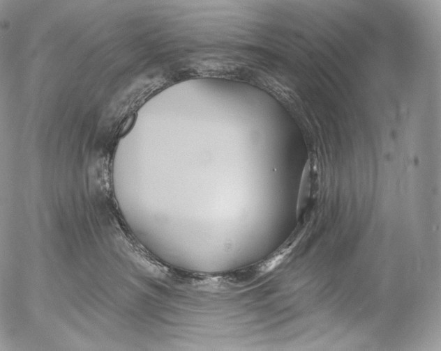 X0000053120430200508012156