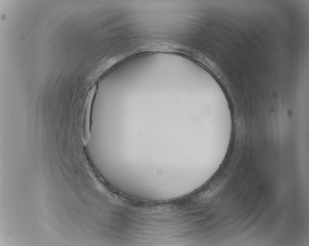 X0000053120433200508012155