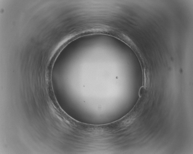 X0000053120435200508012155