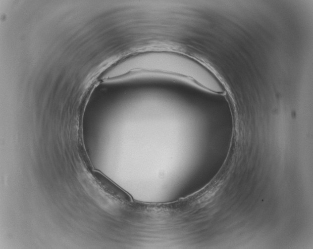 X0000053120437200508012155