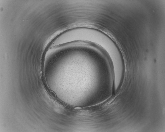 X0000053120438200508012155