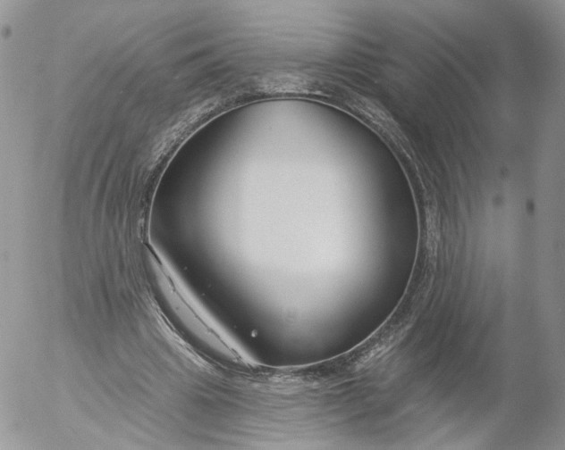 X0000053120441200508012155