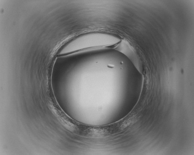 X0000053120442200508012155