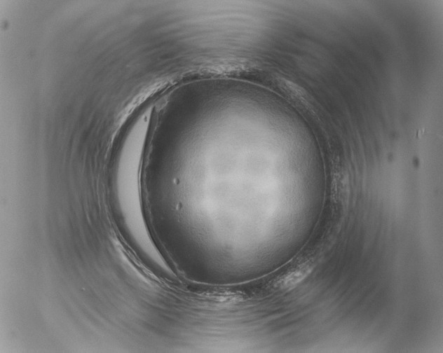 X0000053120443200508012155