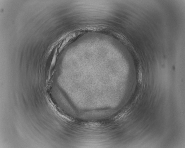 X0000053120444200508012155