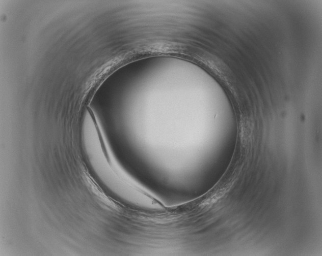 X0000053120445200508012155