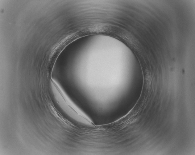 X0000053120446200508012155