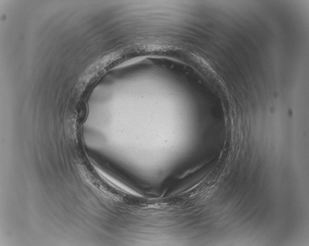 X0000053120447200508012155