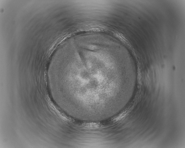 X0000053120449200508012156