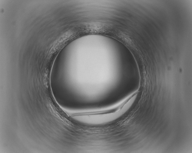 X0000053120450200508012156