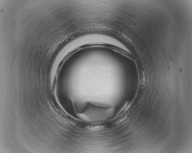 X0000053120452200508012156