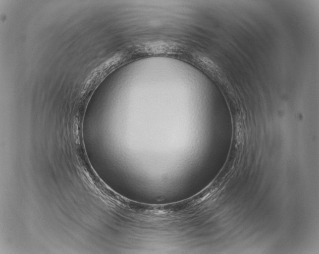 X0000053120453200508012156