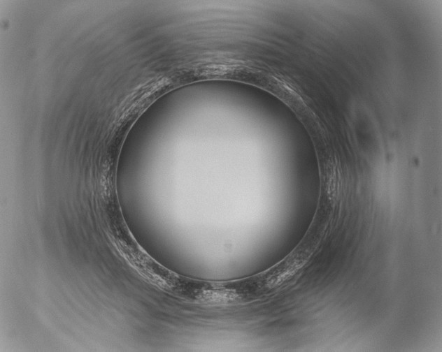 X0000053120455200508012156