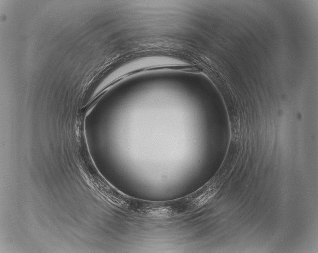 X0000053120456200508012156