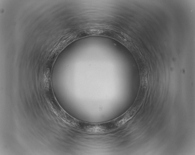 X0000053120460200508012156