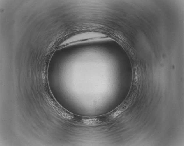 X0000053120461200508012156