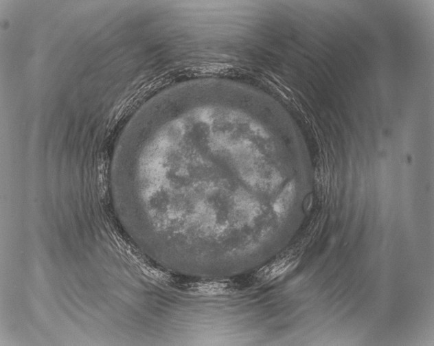 X0000053120462200508012156