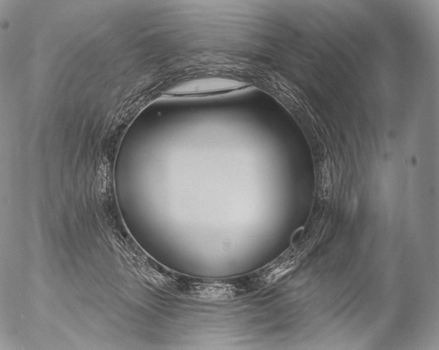 X0000053120463200508012156