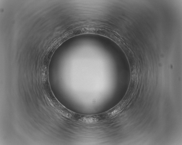 X0000053120464200508012156