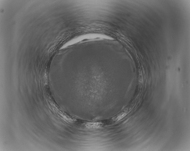 X0000053120465200508012156