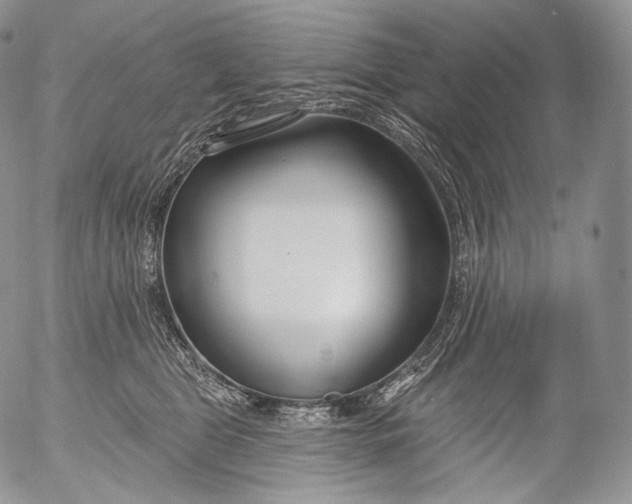 X0000053120469200508012156