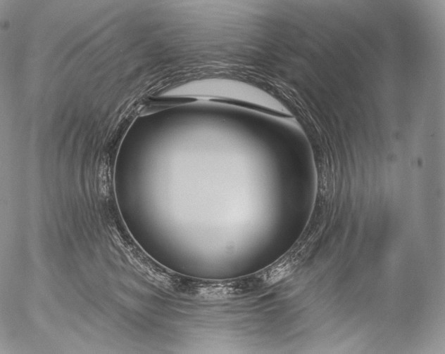 X0000053120470200508012156