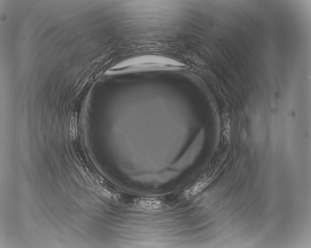 X0000053120471200508012156